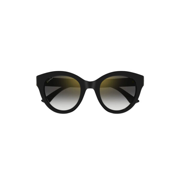 Cartier Contemporary CT0436S sunglasses