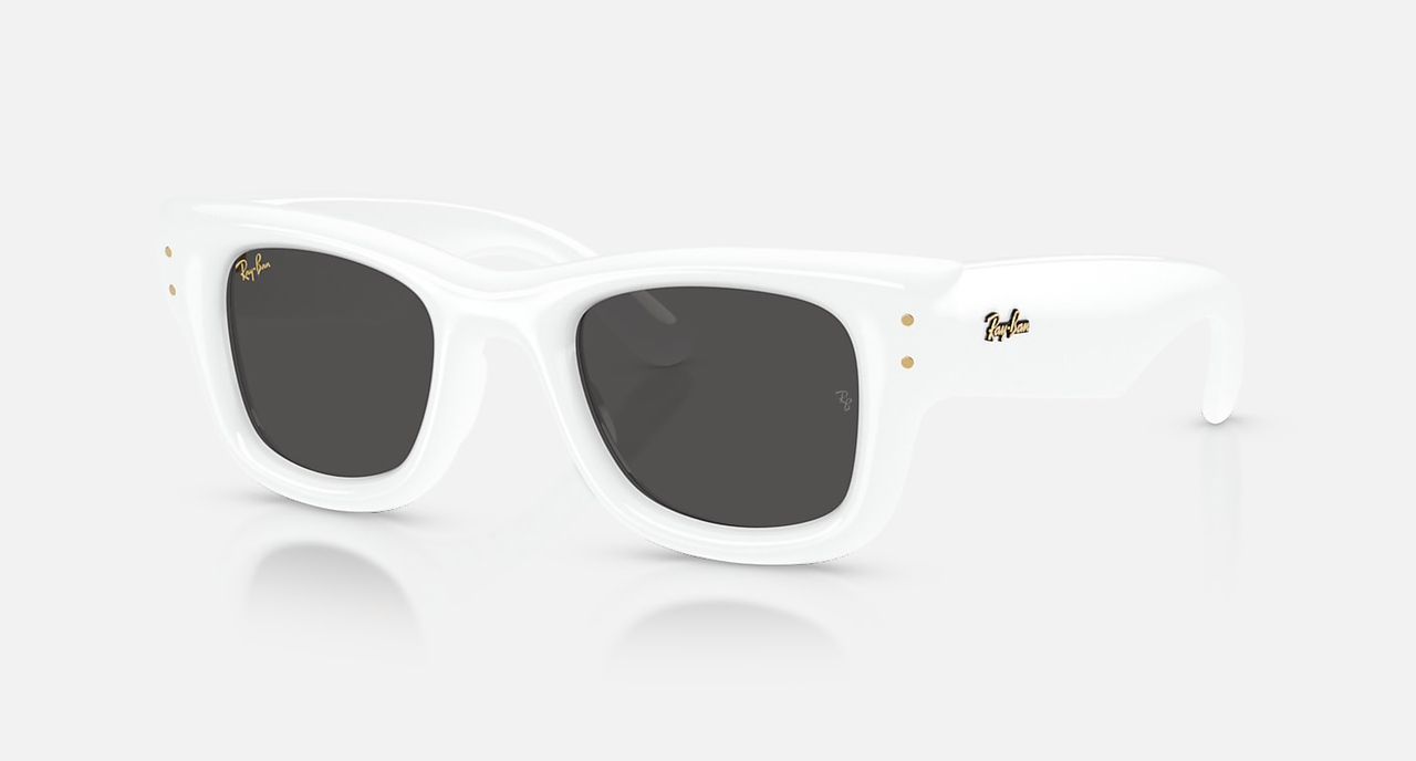 Merger Optical Rayban