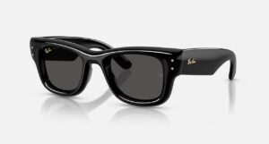 Merger Optical Rayban