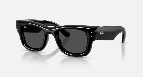 Merger Optical Rayban