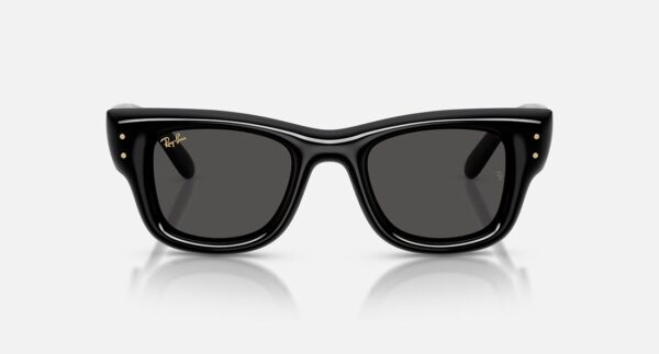 Merger Optical Rayban