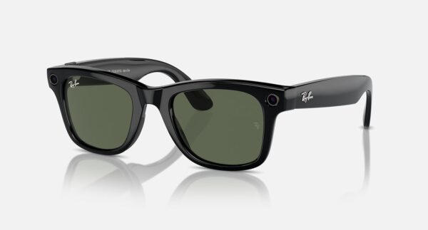 Merger Optical Rayban